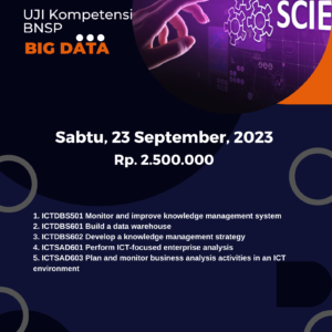 BIG DATA SCIENTIST